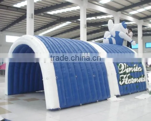 Giant Advertising Blue Inflatable Dome Tent for Sale photo-2