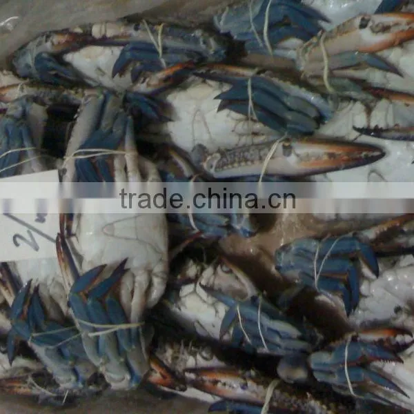 Frozen Fish / Crabs / Shrimps / Clams and Dried Fish Skin & Bones photo-5