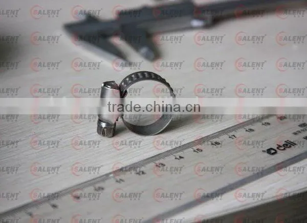 Stainless Steel Band Clamp