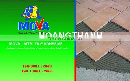 Dry Mortar Tile and Stone Adhesive MTM