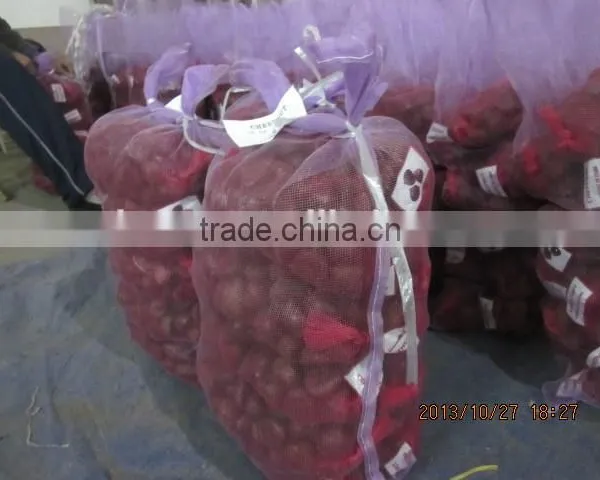 Fresh Sweet Chestnut for Sales photo-4