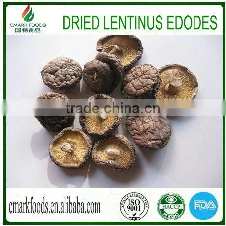 Dried Lentinus Edodes Exporter