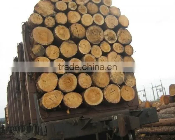 Timber Log / Sawlogs /Wood Round Logs