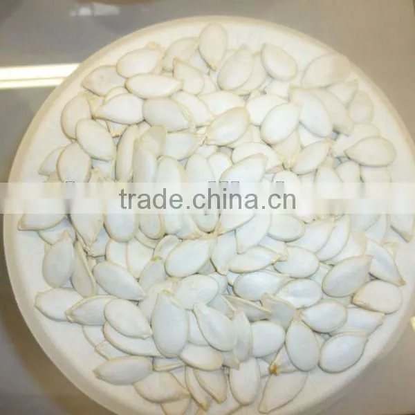 Roasted and Salted Pumpkin Seeds,Chinese Seeds photo-4