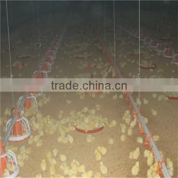 Automatic Broiler Chicken Farm Equipment For Poultry Shed photo-2