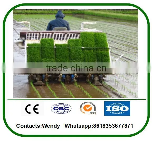 New Model Agriculture Tool Machine 6 Row Rice Transplanter Price for Sale photo-4