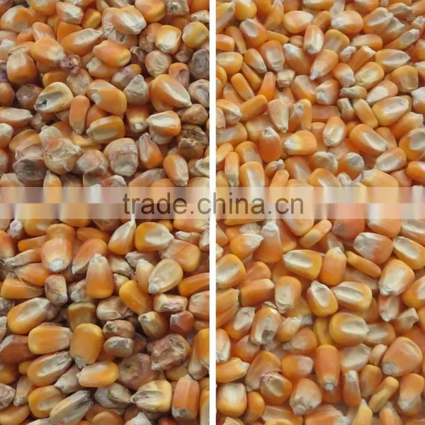 2T/H Full Color CCD Camera Grain Color Sorter With Good Performance photo-5
