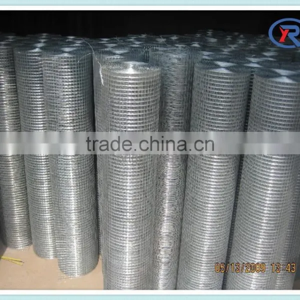 Metal Panel Galvanized Welded Wire Mesh Rolls From China photo-5