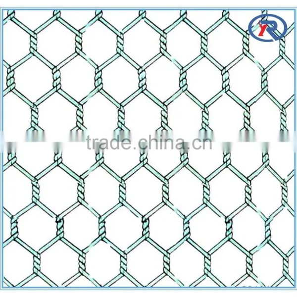 China Lowest Price Galvanized Hexagonal Wire Netting/decorative Chicken Wire Mesh photo-2