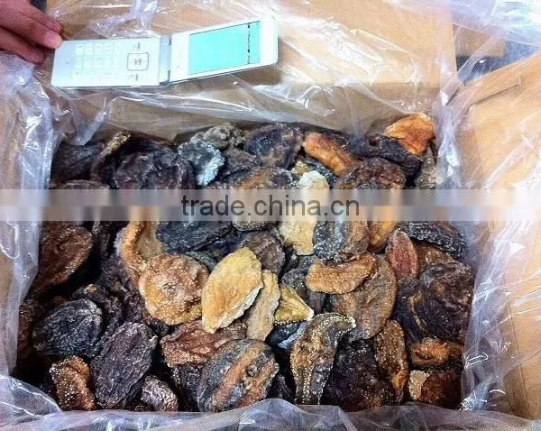Sea Cucumber , Hokkaido , Japan , High Quality photo-2