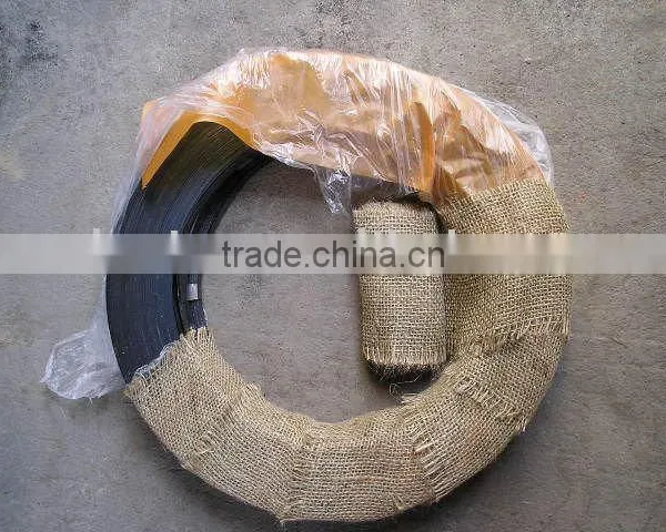 blue metal strips/metal strips