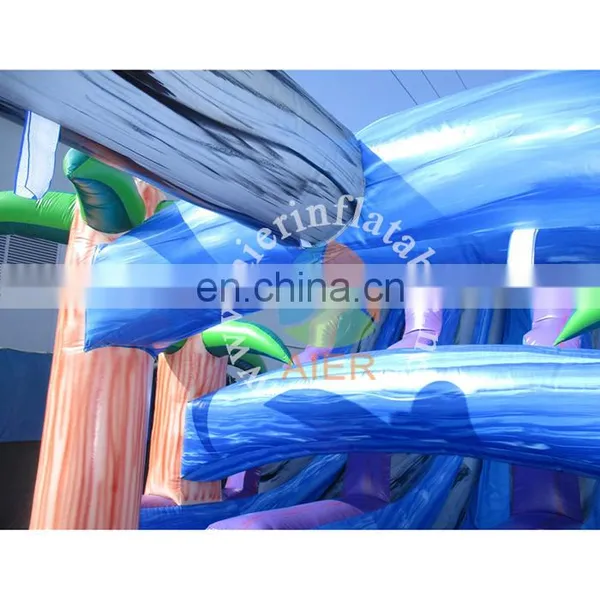 Aier Giant Inflatable Water Slide, Large 2 Lanes Inflatable Water Slide photo-3
