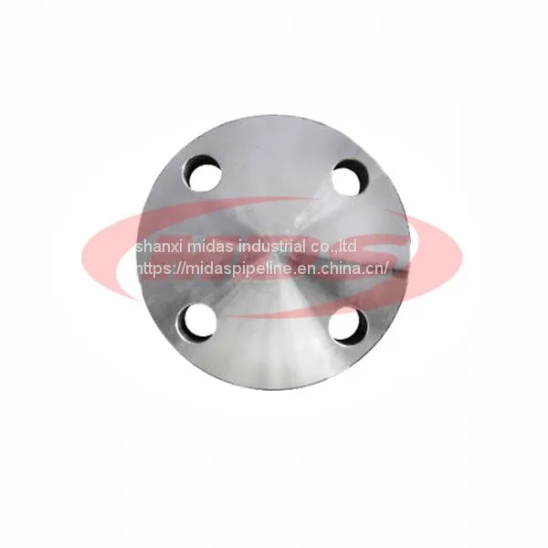 ASNI Schedule 40 Stainless Steel Blind Flange photo-3