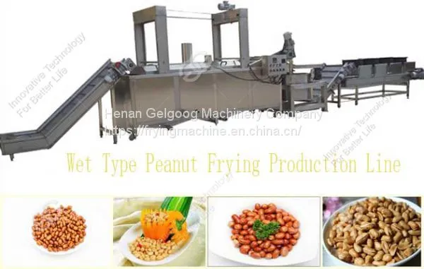 500kg/h Fried Peanut Production Line for Sale/automatic Peanut Frying Machine photo-2