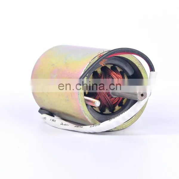 12V 200W Chinese Factory High Quality Low Voltage Permanent Magnet Motor ZDY1256 photo-2