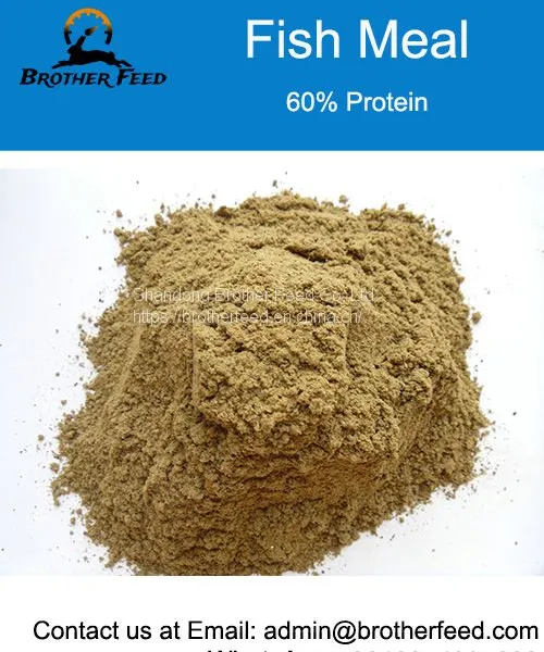 Bulk Dried Fish Meal Powder Wholesale Fish Meal Protein Fish Meal for Animal Feed