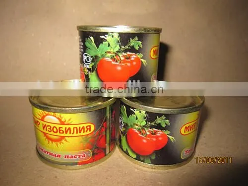 Top Quality Tomato Paste, Ketchup 800gram photo-6