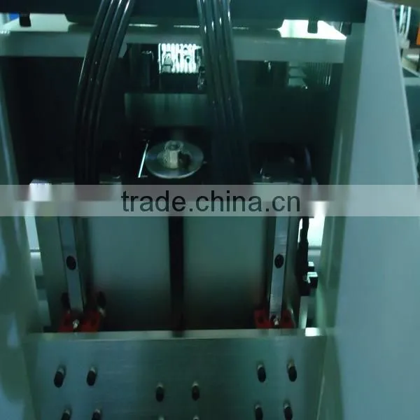 Flat Polythene Bag Printing Machine, Multicolors Inkjet Pritnting on Bags photo-4