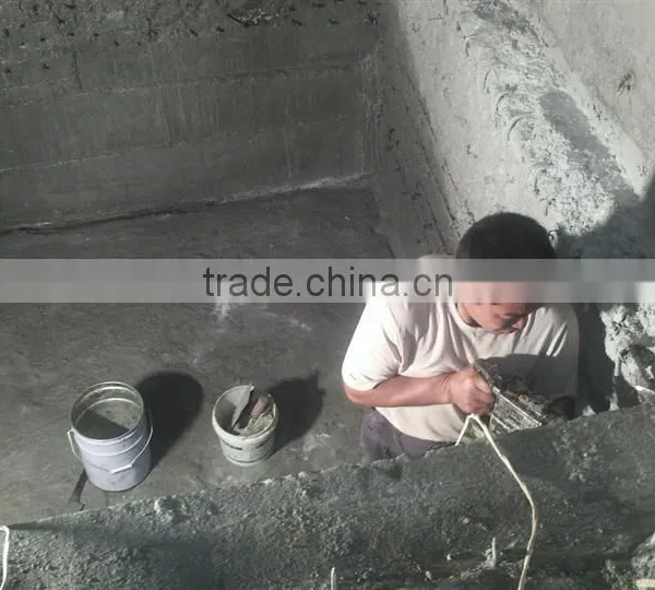 Js Polymer Waterproofing Coating photo-2