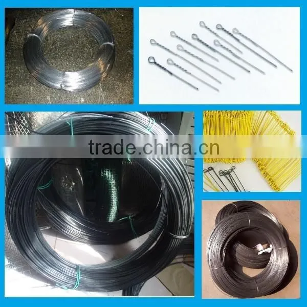 Cheap Price High Quality Electro and Hot Dipped Galvanized Wire/Galvanized Iron Wire photo-4