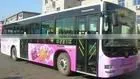 Self Adhesive Vinyl Film, Vehicle Graphics,vehicle Wrapping