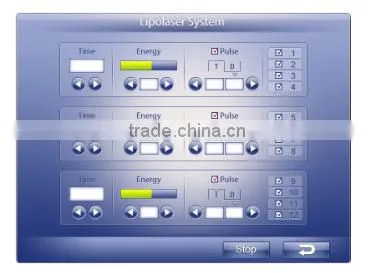 12 Padles and Imported Lights Lipo Laser Machine photo-3