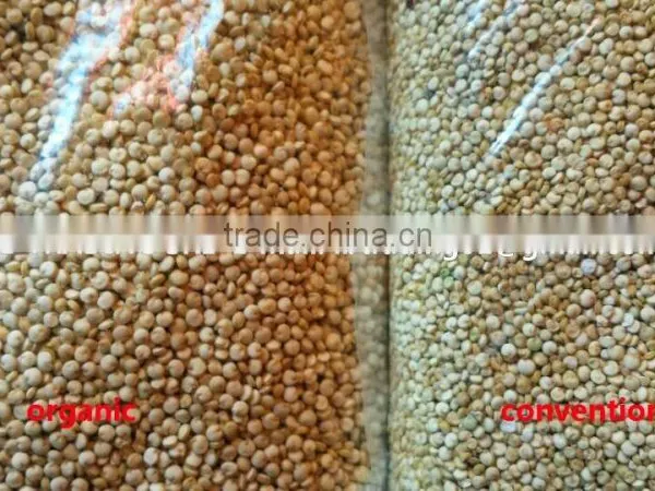 Organic White Quinoa photo-5