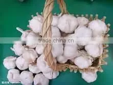 Bulk Spices of Chines Garlic