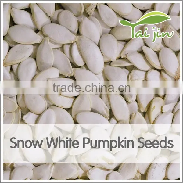 Cheap Price Snow White Pumpkin Seed Export photo-6