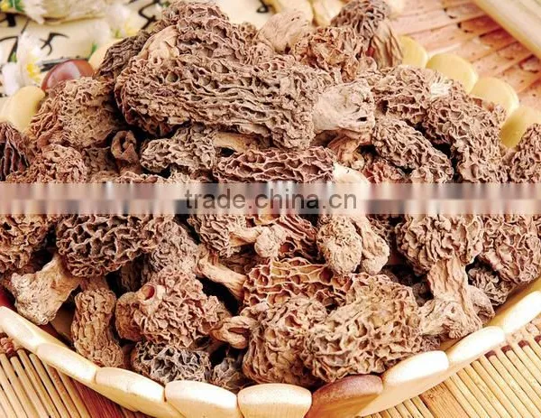 High Quality Dried Morels photo-3