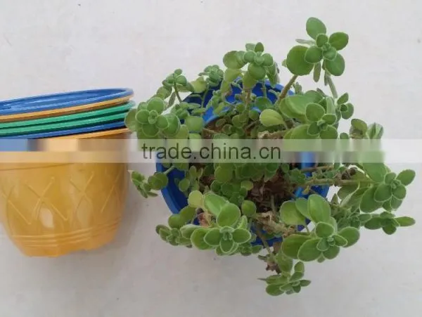 Blue Yellow Purple Plastic Plant Flower Pot