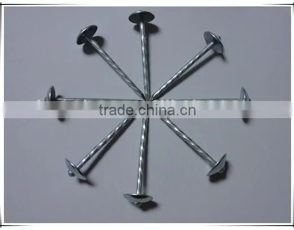 2 Inch Umbrella Head Roofing Nail Twisted Shank Roofing Nail With Factory Price photo-2