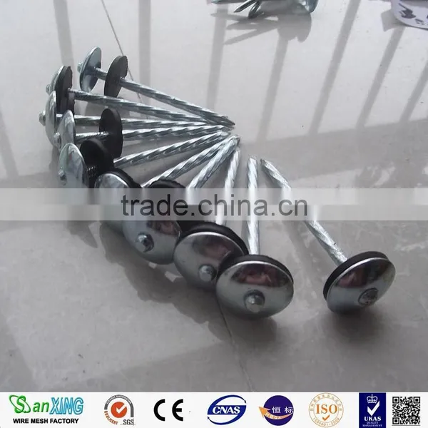 Best Quanlity 2.5 Inch and 3 Inch Roofing Nails photo-4