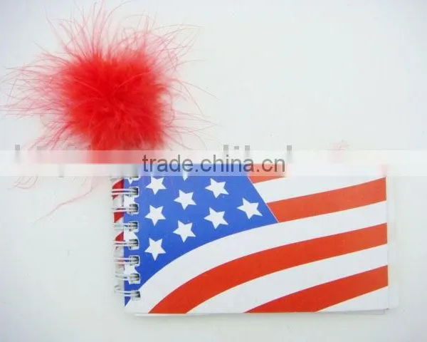 4th of July notebook &feather pen