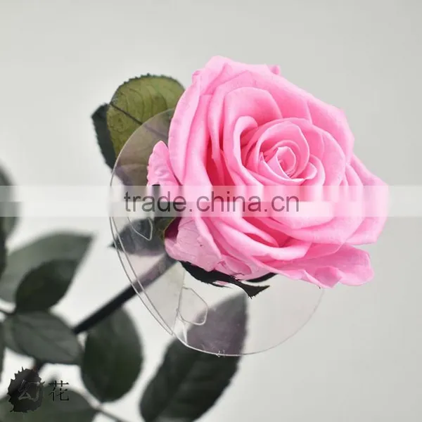 Hot Selling Valentine's Gift Real Floral Long Lasting Natural Preserved Flower Roses photo-5