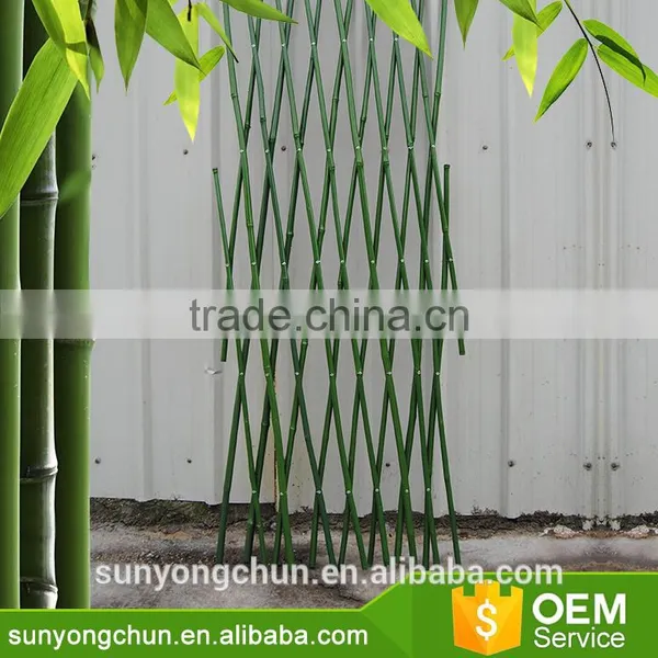 Hot Rural Style Bamboo Raw Materials Green Garden Chinese Bamboo Canes photo-3
