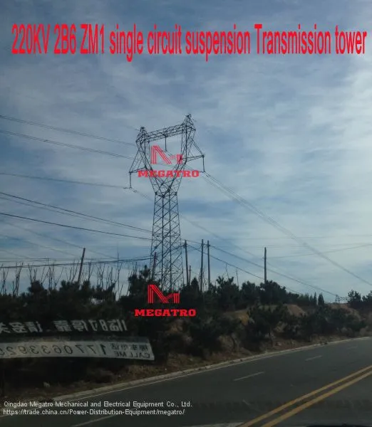 MEGATRO 220KV 2B6 ZM1 Single Circuit Suspension Transmission Tower photo-3