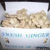 Sell Fresh Ginger