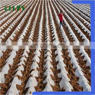 Quick Delivery Pla Biodegradable Material With Good Quality photo-5