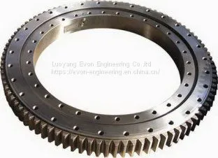 Rks. 302070202001 Slewing Drive Slewing Bearing for Truck Mounted Crane photo-4