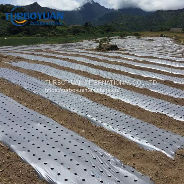 Black Plastic Mulching Film Price for Agriculture photo-5