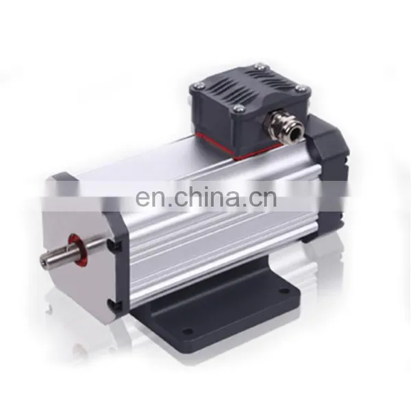 Custom High Quality IEC 24v 72v 1kw 3kw Pmsm ev Door Brushless dc Bldc Motor photo-4
