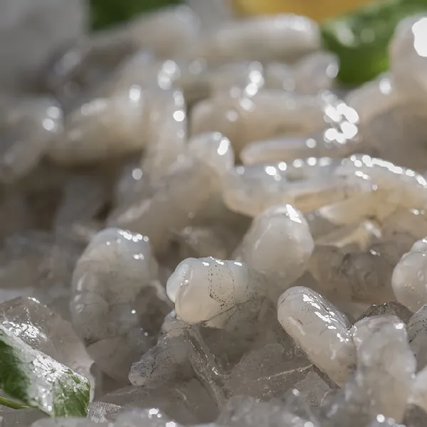 2021 New Product Fresh Whiteshrimp Prawns Natural Frozen Vannamei Shrimp photo-3