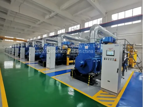 Low Rpm High Efficiency Biomass Gas Biogas Syngas Power Generator photo-4