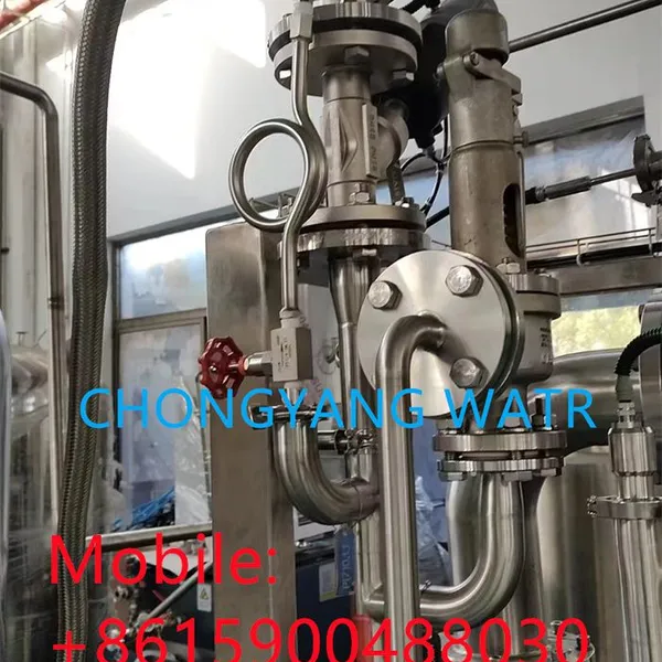 Electric Clean Steam Generator For Sterilization