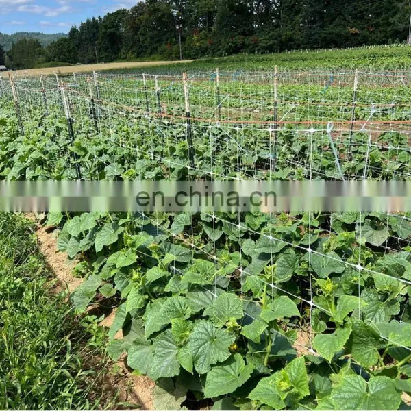 High Quality 8gsm White Plant Support Climbing Plastic PP Trellis Agricultural Net Mesh photo-5