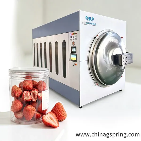 Industrial Best Quality Vacuum Microwave Oven For Strawberry