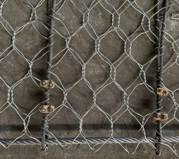 Galvanized Double Twist Steel Mesh Grid Structure Reinforced Mesh for Coastal Rockfall Protection Netting Factory Direct photo-6