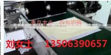 Three-side Sealing Machine for Plaster photo-2