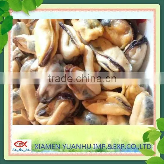 IQF Frozen Boiled Blue Mussel Without Shell